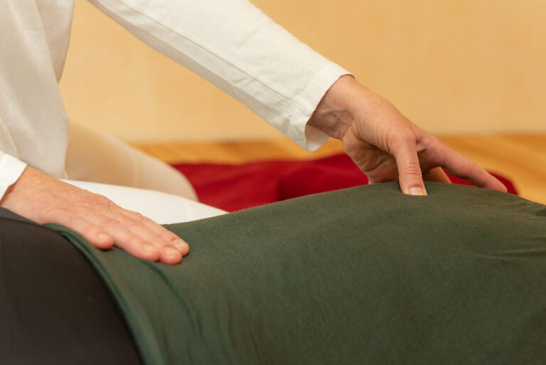 Shiatsu Praxis Rosalinde Schneider